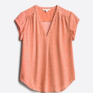 Short Sleeve V Neck XXL NWT